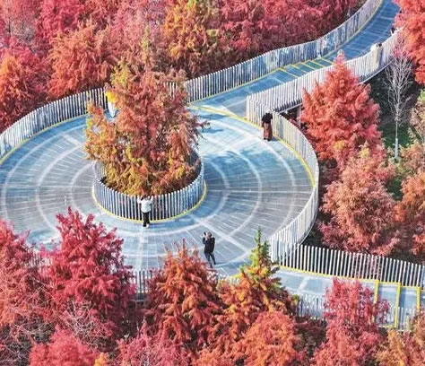 ��h�tɼ�M������^�p��